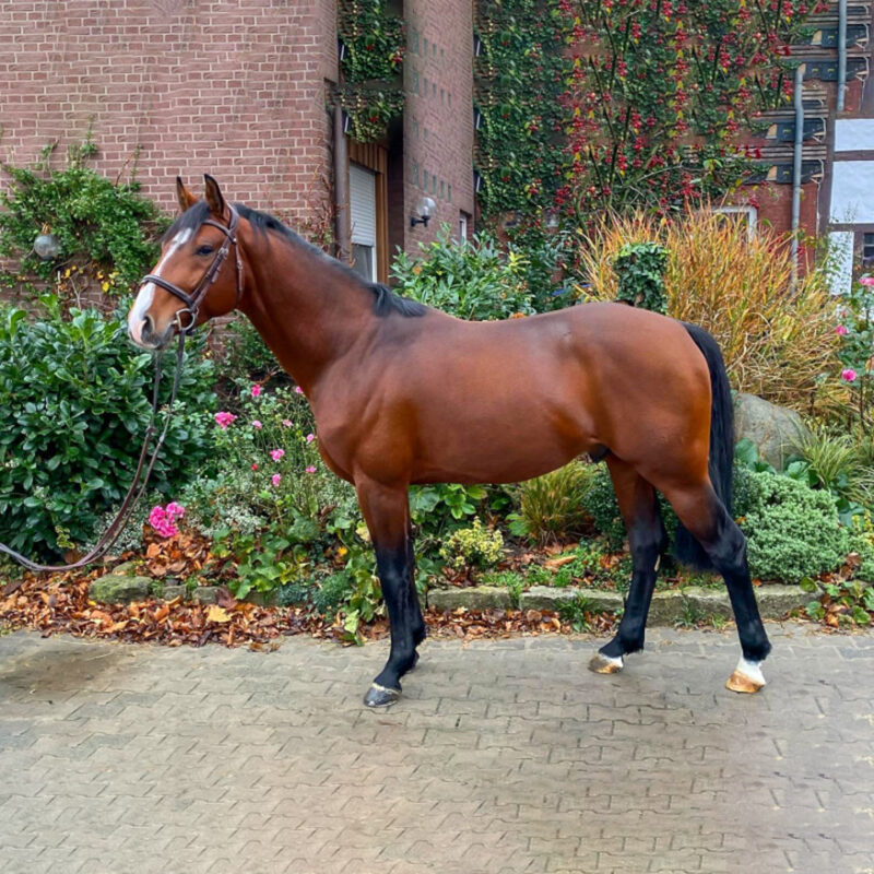 Clemons von Nagel 01